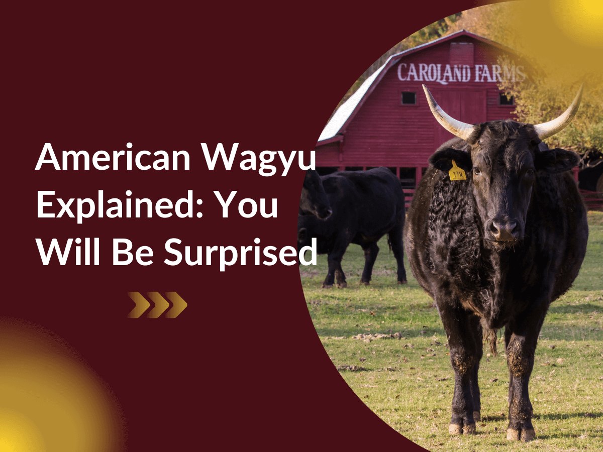 Breed History  American Wagyu Association